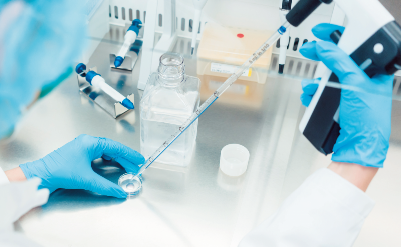 Systémová podpora klinického a biomedicínskeho výskumu v zdravotníctve