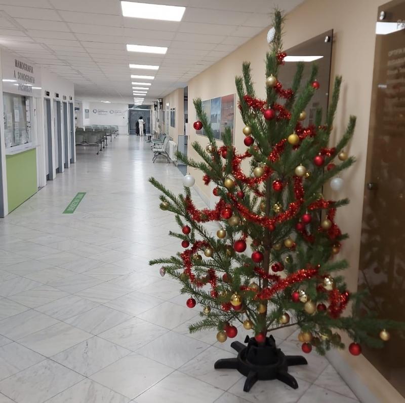 Náš ústav zdobia vianočné stromčeky